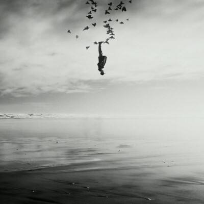 南宫体育手机app下载