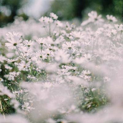 hth·华体育APPapp下载